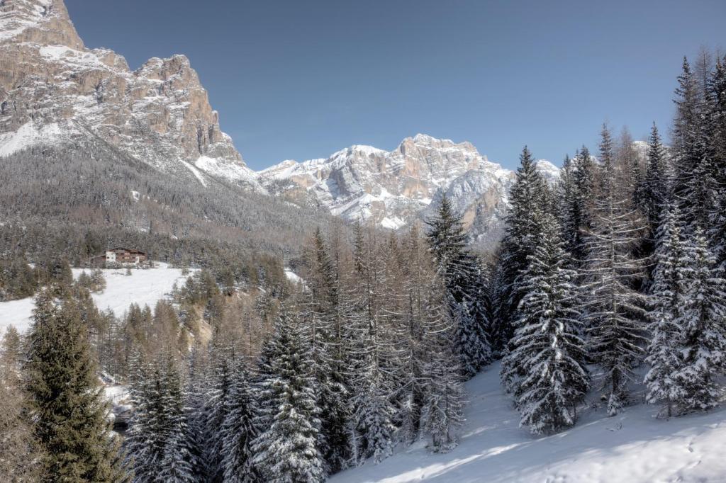 Hotel Ciasa Ai Pini San Cassiano  Zewnętrze zdjęcie